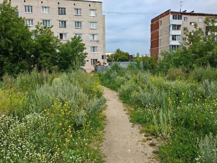 «Крапива в рост человека и ни одного туалета»: туристы из Тюмени раскритиковали Каменск-Уральский