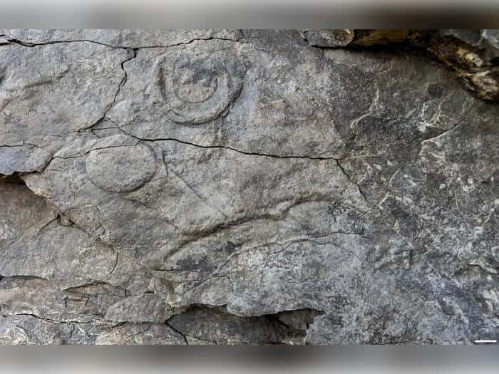 Ударили по земле — нашли жизнь: на Урале открыли древнейших существ Земли