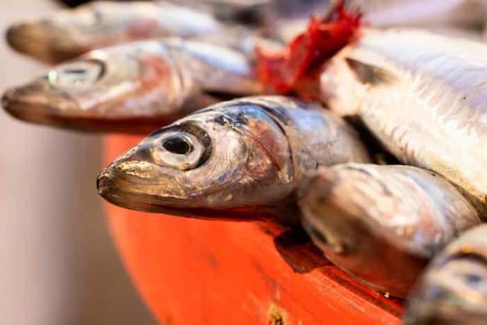 Свердловская рыба отправилась в Эмираты: продукцию проверили под контролем