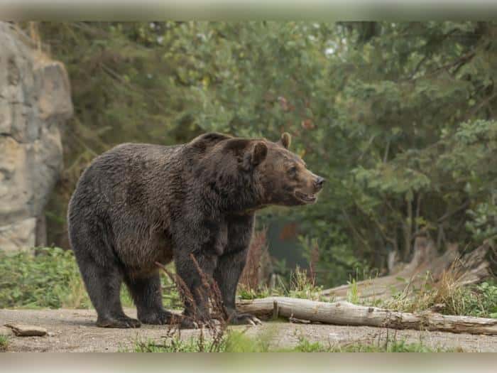 Инструктор по выживанию запретил женщинам ходить в лес в критические дни
