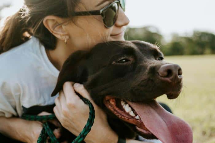 Догшеринг убивает: кинолог объяснил, почему нельзя «брать собаку напрокат»