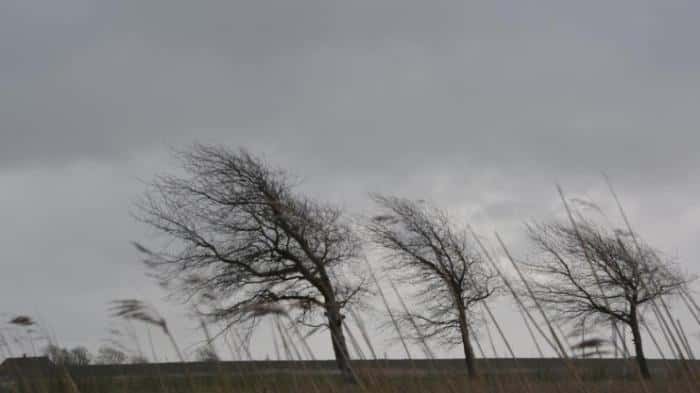 Синоптик рассказал, где похолодает до +4: погода в Свердловской области на начало недели