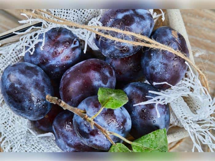 Нашли щитовку в сливах: опасный вредитель пробрался в Свердловскую область