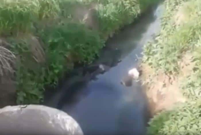 Фекалии снова текут рекой в поселке под Каменском-Уральским: возбуждено уголовное дело