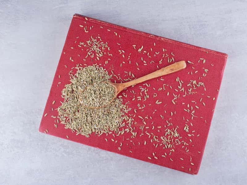 В Екатеринбурге продавали запрещённые семена: Россельхознадзор выявил 59 сортов