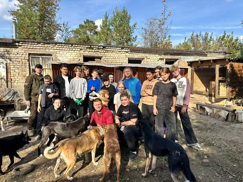Не сидели сложа руки: как молодёжь СинТЗ спасала собак в приюте «Бароша»