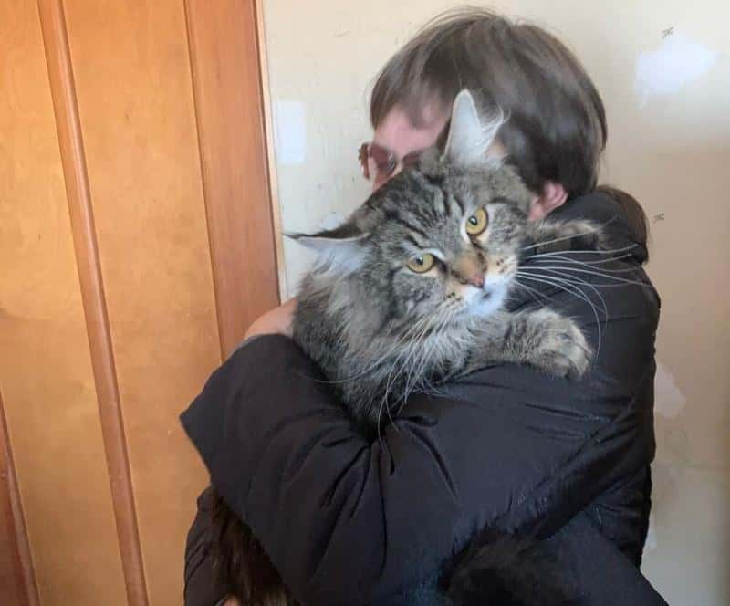 «Сработала магия взаимовыручки»: жительница Каменска-Уральского нашла своего кота спустя 1,5 года поисков