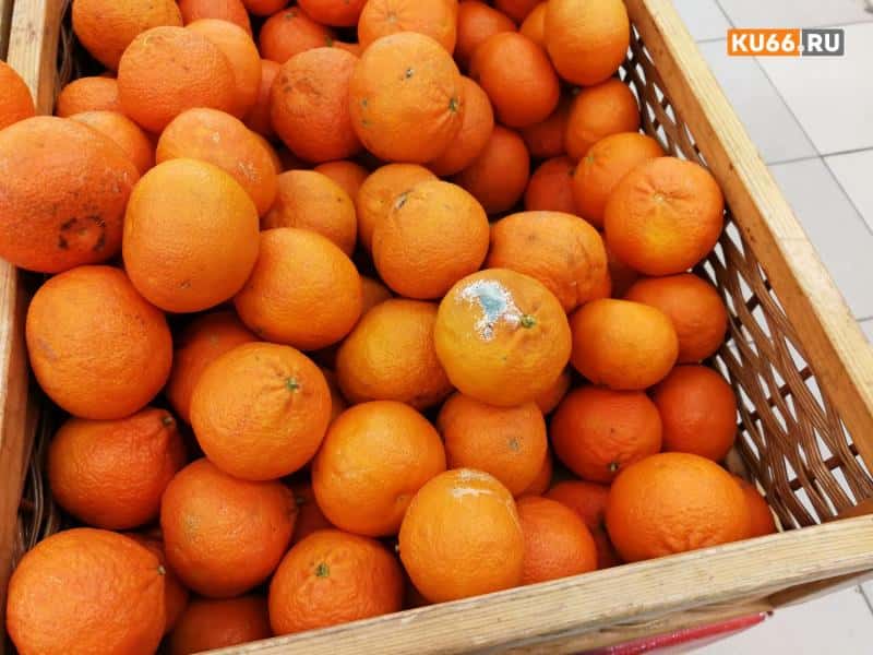 В Свердловской области нашли вредителя в апельсинах из Южной Африки и пустили в продажу