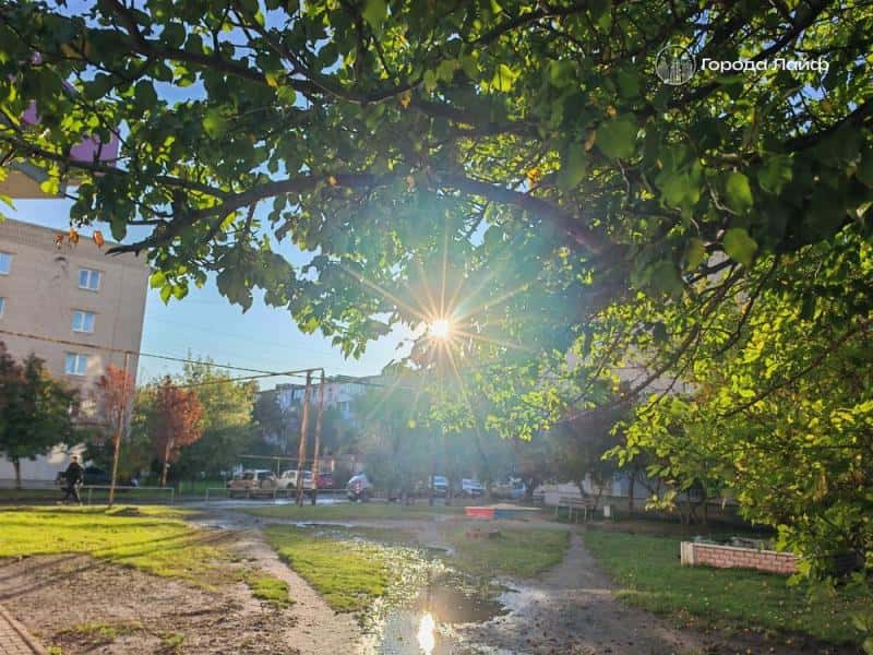 Зима передумала наступать и ушла: синоптики обещают на Урале +10 градусов и солнышко