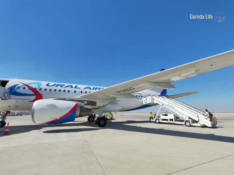 Самолет «Уральских авиалиний» столкнулся с птицей — рейс задержали