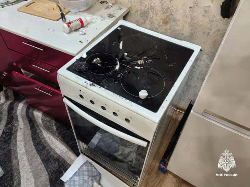 Собака взорвала квартиру в Новосибирске: как это вообще возможно