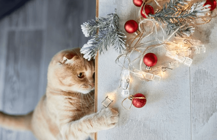 Эксперт рассказала, как помочь кошкам и собакам пережить Новый год