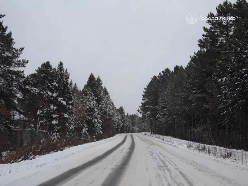 В Каменске-Уральском провели 348 рейдов по городским лесам