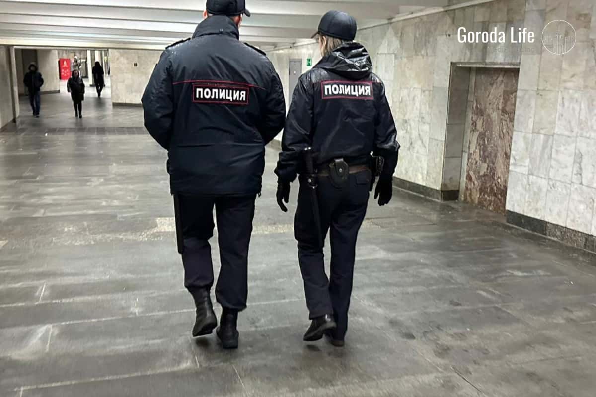 Госдума расширила полномочия транспортной полиции: дела передадут заместителям