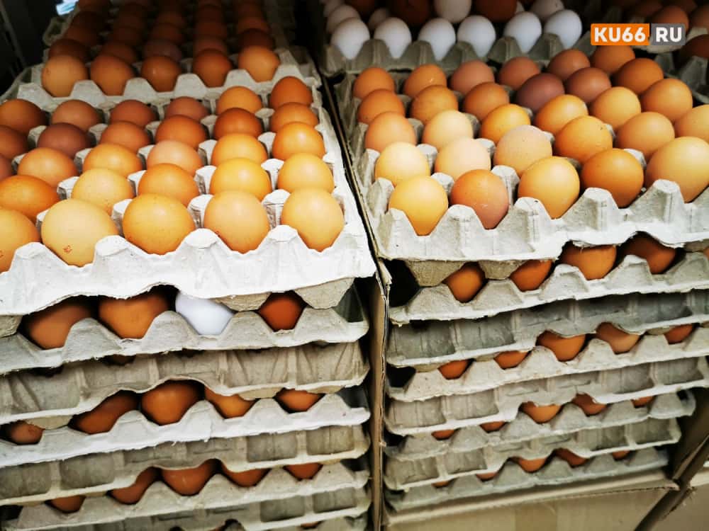 Яиц хватит всем: свердловские птицефабрики увеличат производство на миллионы