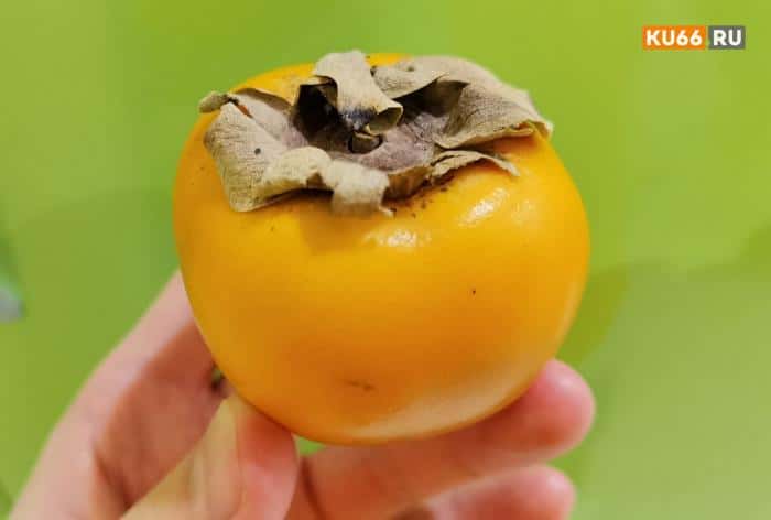 Любовь к хурме чуть не стоила жизни: житель Новосибирской области объелся ягод и попал в больницу