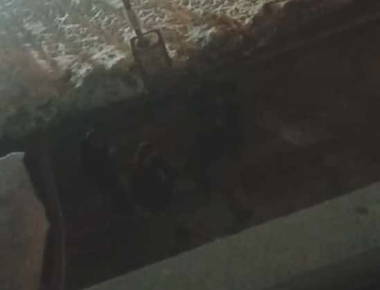 Вырывают двери в подъезде, мусорят: банда молодых людей терроризирует каменцев