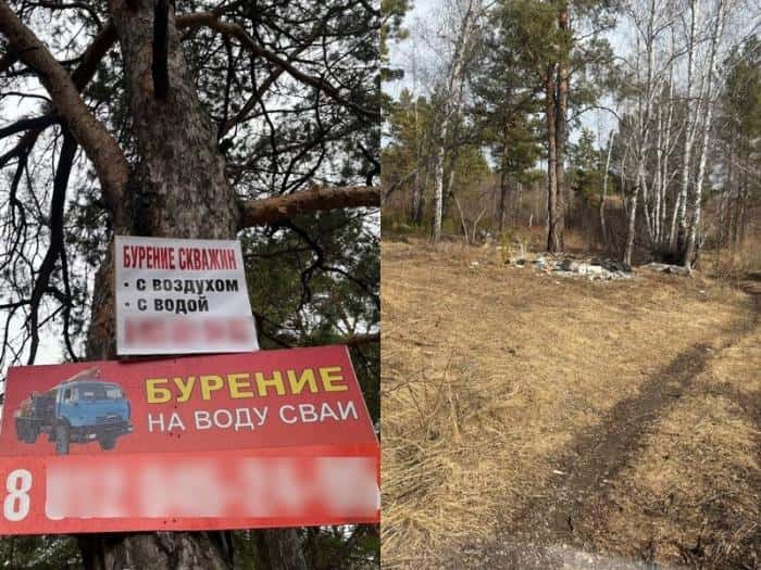 "Штраф до 400 тысяч": жителей Каменска-Уральского предупредили о наказании за экологические нарушения