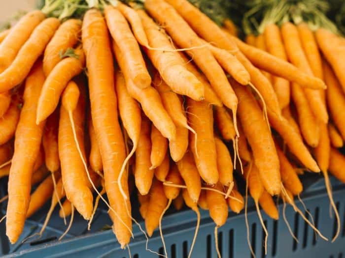 Морковь стала золотой: почему овощ резко подорожал в Свердловской области