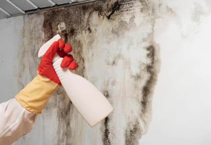 Инспекторы выявили плесень и грязь на свердловском молочном заводе — выписаны протоколы и штрафы