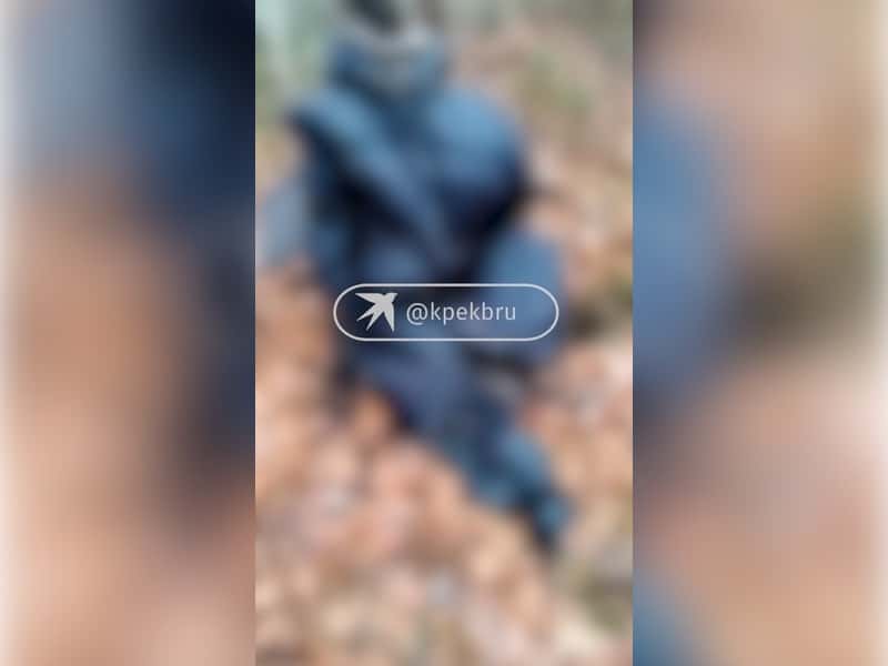 В лесах Свердловской области нашли обезглавленное тело женщины — рядом старинная монета