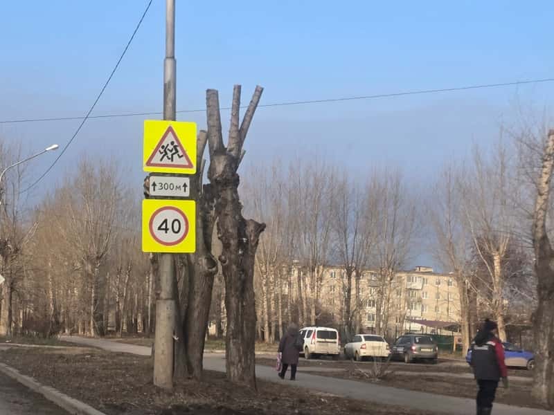 В Каменске-Уральском обновляют деревья на центральных улицах