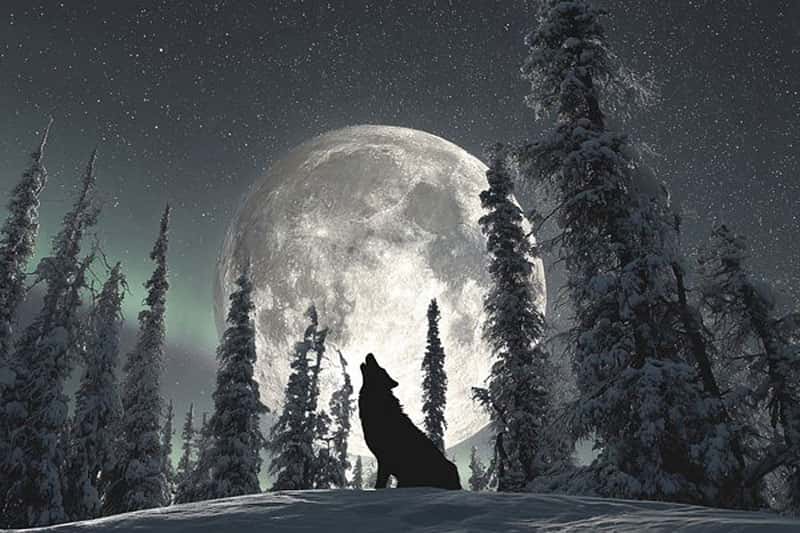 3 января над Землёй взойдёт суперполнолуние и яркий Юпитер