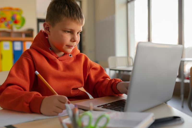 Сайты с решениями олимпиад могут закрыть: новые правила Минпросвещения