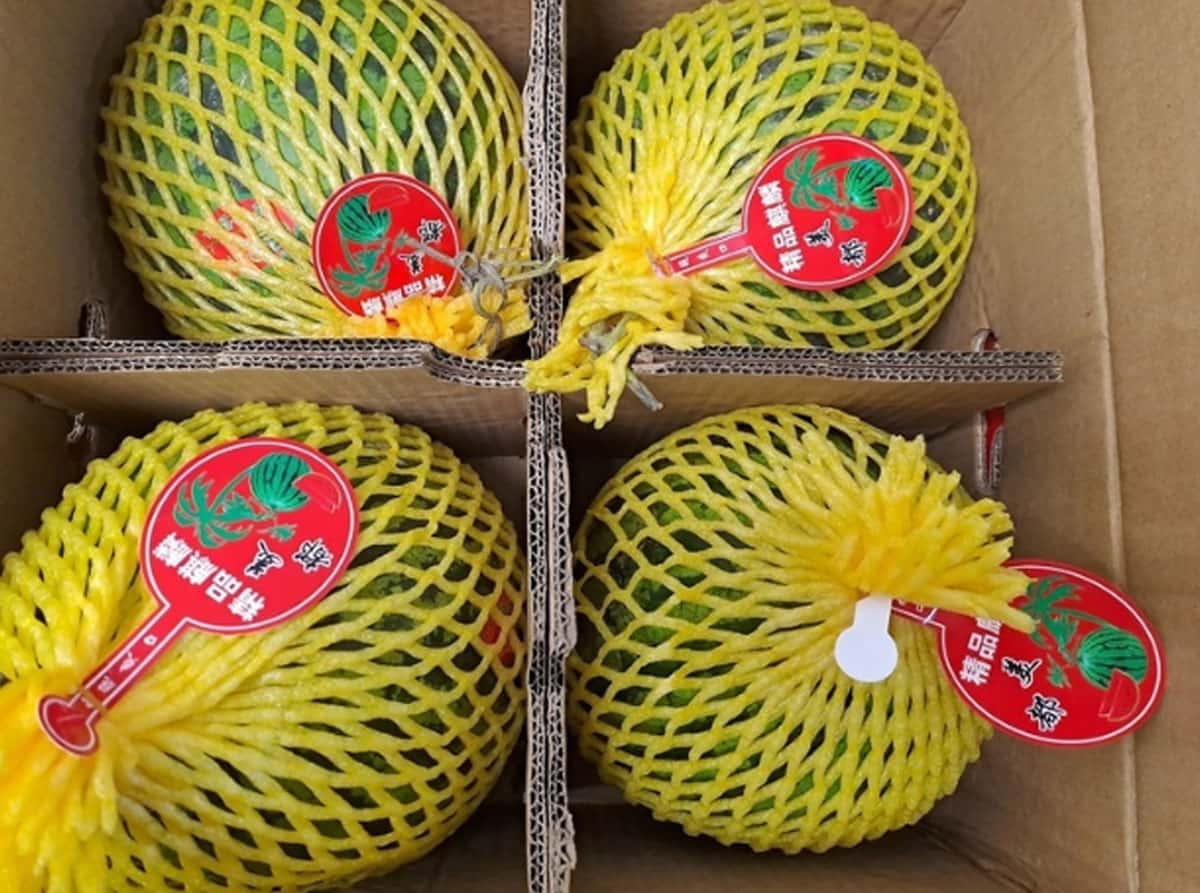 В Екатеринбург завезли первые арбузы из Китая — продукцию проверил Россельхознадзор