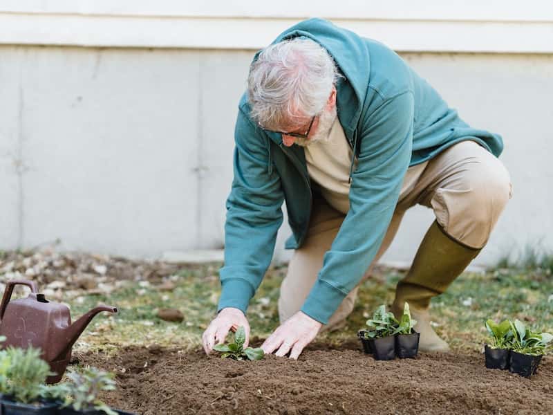18 марта — день Конона Огородника: какие запреты и приметы связаны с этой датой