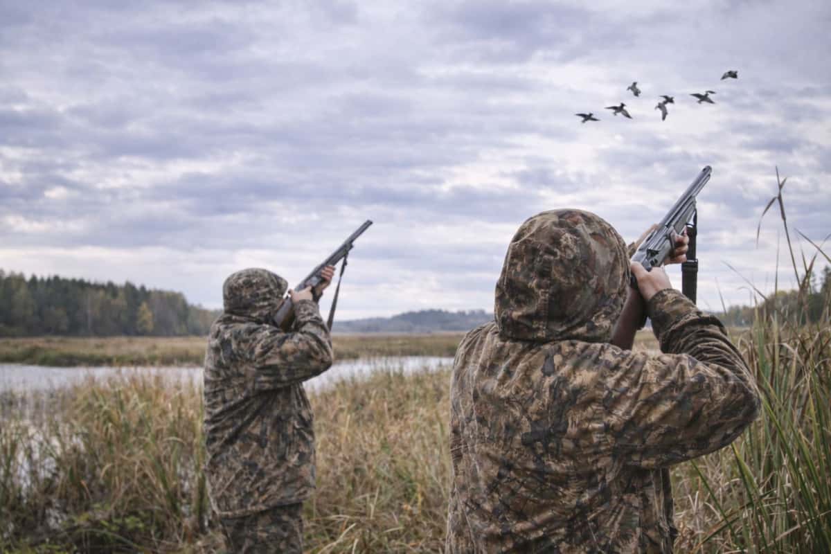Весенняя охота-2026 в Свердловской области: точные сроки и нормы добычи по югу и северу региона