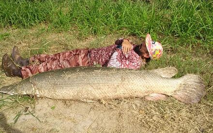 Мужчине повезло на рыбалке, но крупный улов убил его