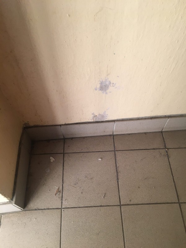 «Ситуация в душе вообще убивает». Аноним пожаловался на ситуацию в общежитии медколледжа Каменска-Уральского, но многие его не поддержали