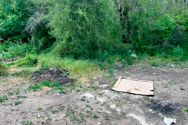 Пассажир зарезал таксиста и поджег тело в лесу