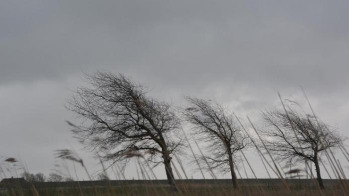 Шторм обрушится на Свердловскую область 23 мая: уральцев ждет ураганный ветер и ливень | Сильный дождь и ветер до 18 м/с ожидаются в Свердловской области 23 мая