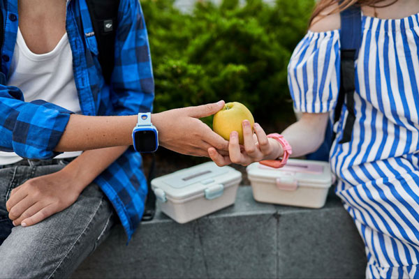 При покупке умных устройств, свердловчане отдают предпочтение безопасности