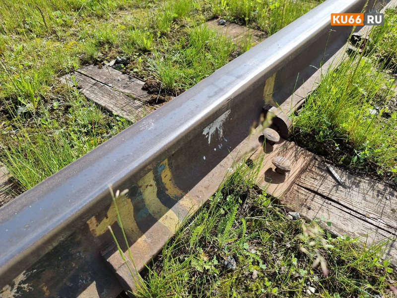 В Тамбовской области трое выпускников погибли под колесами поезда