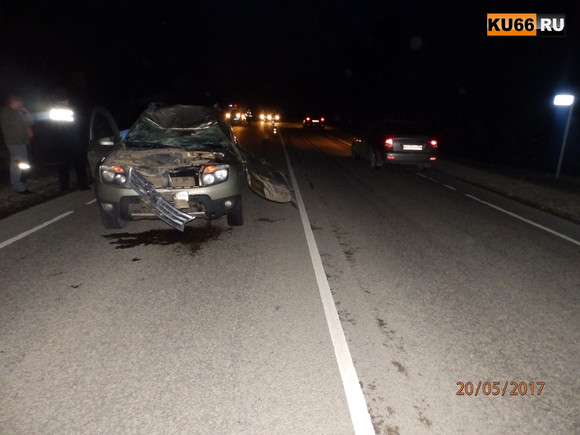 Подробности ДТП под Каменском-Уральским, в котором погиб лось. У водителя автомобиля - серьезные травмы. ФОТО Подробности ДТП под Каменском-Уральским, в котором погиб лось. У водителя автомобиля - серьезные травмы. ФОТО