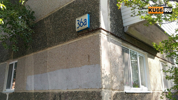 «Вонь из подвала стоит даже в подъезде». Жители домов, которые обслуживает УК «ДЕЗ» Каменска-Уральского, жалуются на атакующих их блох