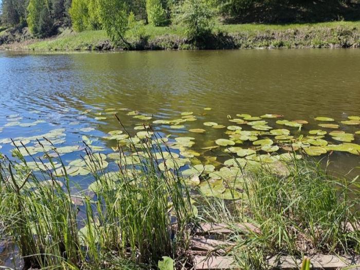 Тысячи горожан и туристов прогулялись по живописному Каменску-Уральскому на «Каменской прогулке» |  «Каменская прогулка» собрала тысячи горожан и туристов 25 мая