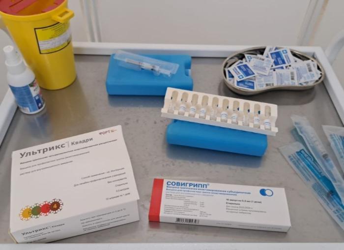 «Поступило более 9 тысяч доз»: в Каменске-Уральском началась вакцинация от гриппа | В Каменск-Уральский поступило более 9 тысяч доз вакцины от гриппа