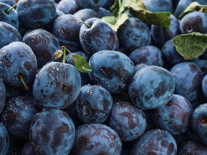 В Свердловскую область хлынуло 60 тонн слив из Казахстана: экспертиза Россельхознадзора подтвердила их безопасность | Сливы из Казахстана проверены Россельхознадзором и допущены к продаже в Екатеринбурге