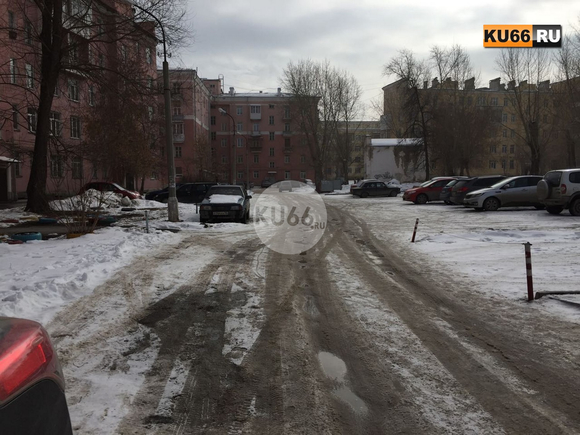 Мужчина, выскочивший из квартиры дома в Каменске с охапкой конопли, забросил ее под машину. «Когда ехала, увидела, что его уже скрутили»