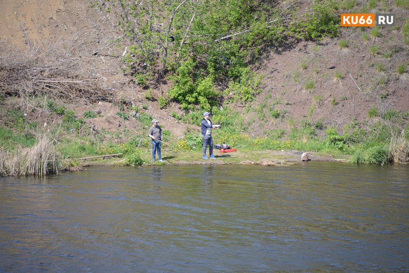 Вирусолог: жаре нужно время на борьбу с коронавирусом