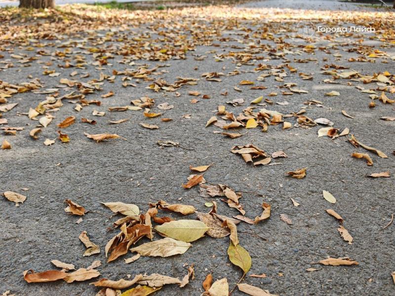 Гадайте на нитке в день осеннего равноденствия: что принесёт вам 22 сентября по народным приметам |  22 сентября 2025 будут праздновать день равноденствия