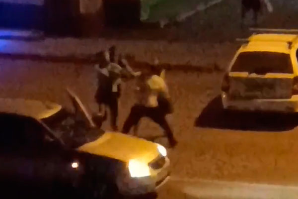 В Каменске-Уральском мужчины устроили драку из-за собаки. ВИДЕО