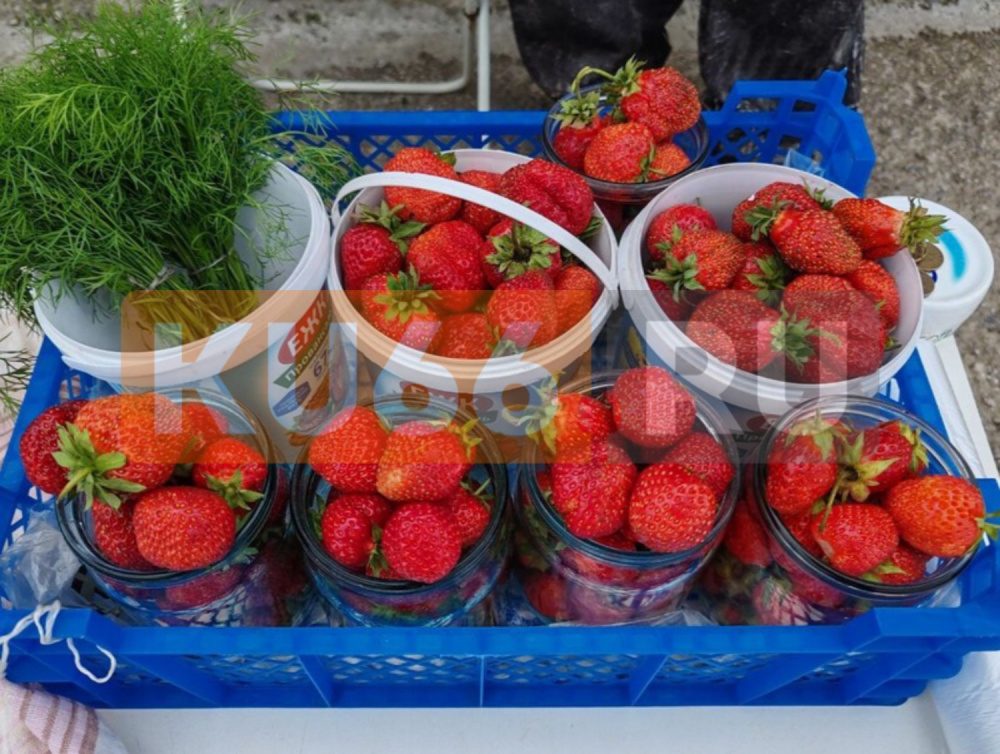 В Каменске-Уральском уже вовсю продают клубнику | В Каменске-Уральском начали продавать клубнику