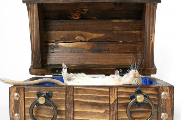 Роспатент зарегистрировал похоронные услуги под брендом «Грустно — и точка»