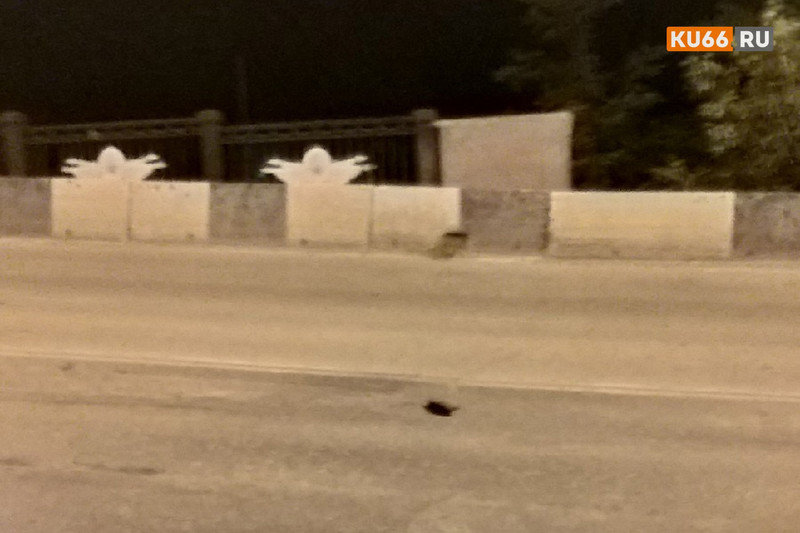 «Мост скоро обвалится на железную дорогу». Сооружение, по которому сотни каменцев ежедневно ездят, может рухнуть в любой момент