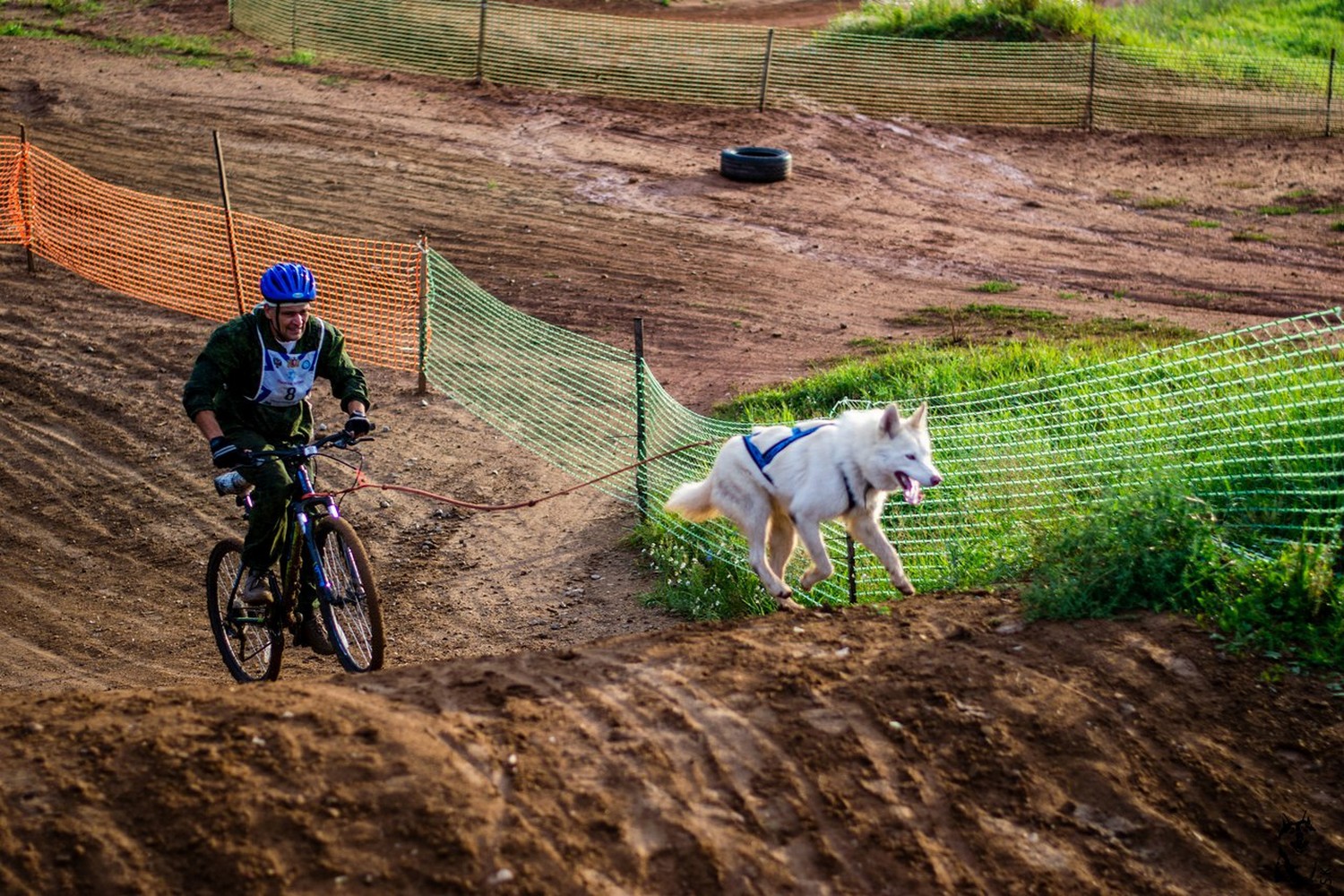Самым зрелищным станет гонка на собачьих упряжках: в Каменске-Уральском готовятся к состязанию и семейному празднику Ural Stone Gate